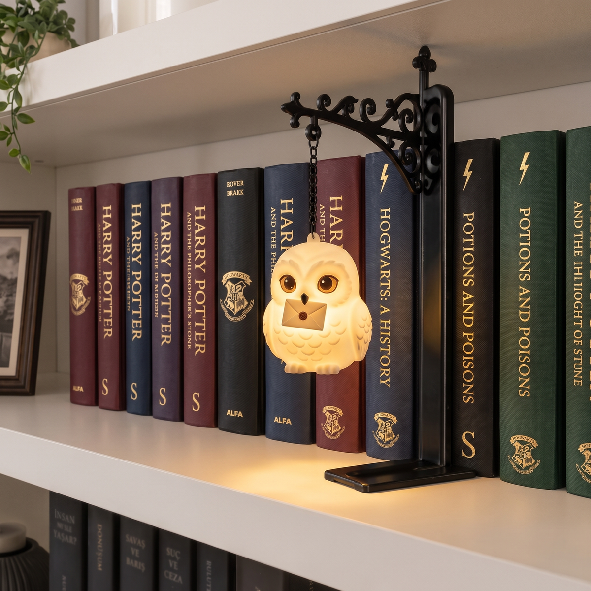 NookSpirit Bookshelf Lamp