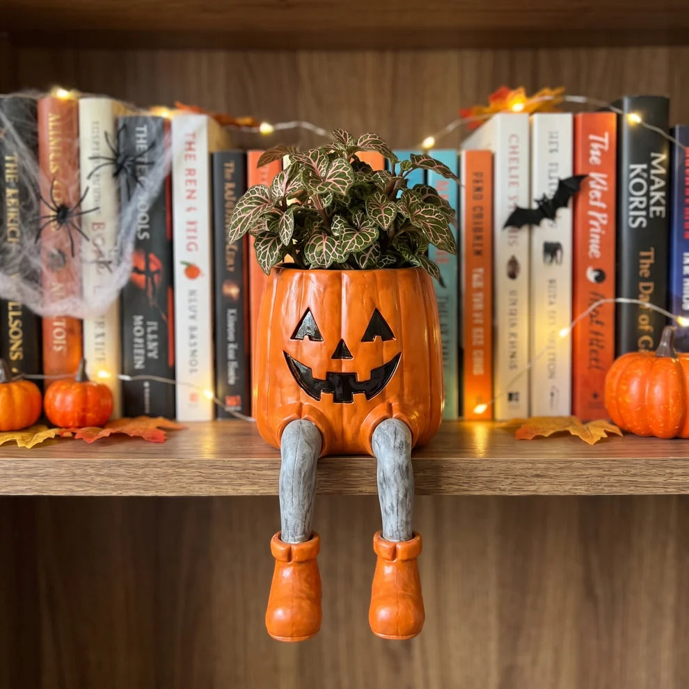 Unique Halloween Planters for Home & Garden